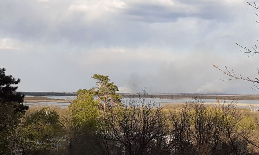 в амурской области потушили все природные пожары
