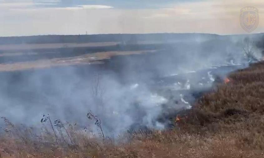 «не жгите костры!»: в приамурье за сутки выявили 17 палов сухой растительности